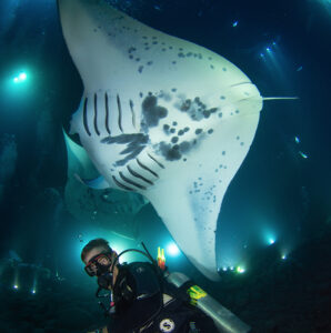 Outrigger Kona Resort & Spa to Host World Manta Day Festival – Sept. 17