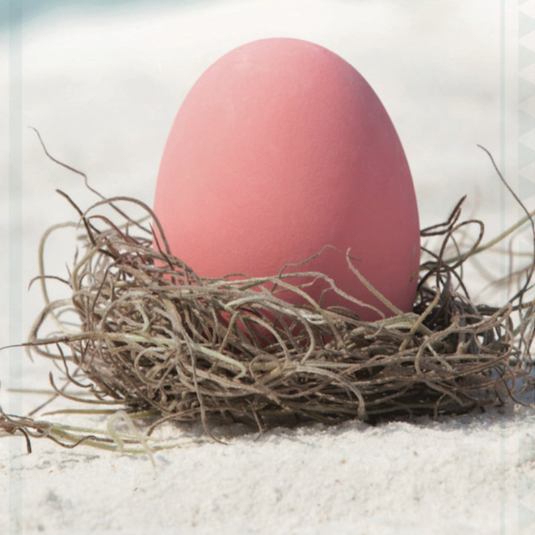 Outrigger Konotta Maldives Resort Announces  Easter 2020 Activities