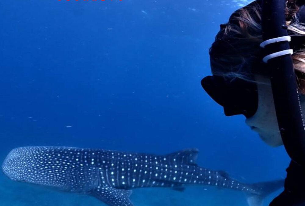 The Dilemma of a Marine Biologist