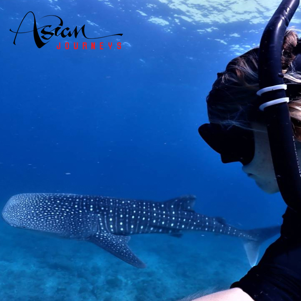 The Dilemma of a Marine Biologist