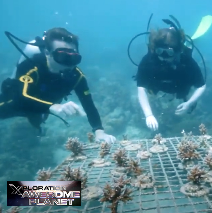 VIDEO: Xploration Awesome Planet Sends Student Contest Winner to Castaway Island, Fiji Resort