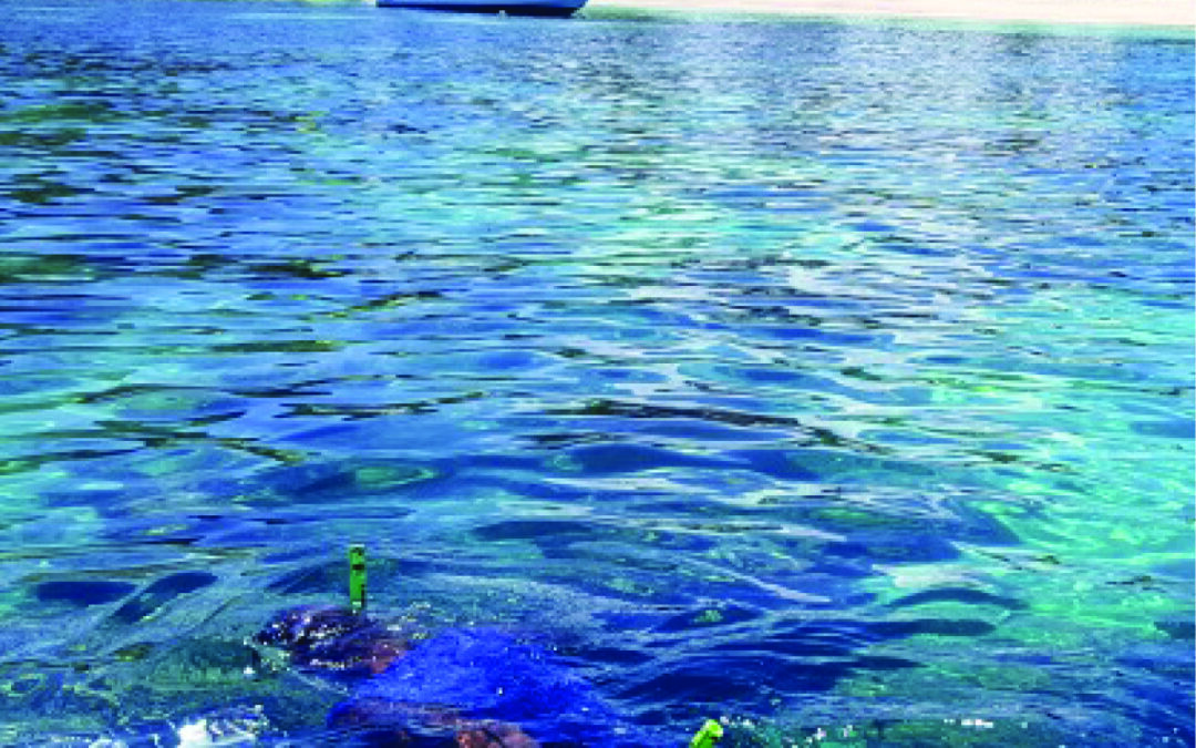 10 Incredible Sustainable Travel Experiences: Master Coral Planting in Fiji