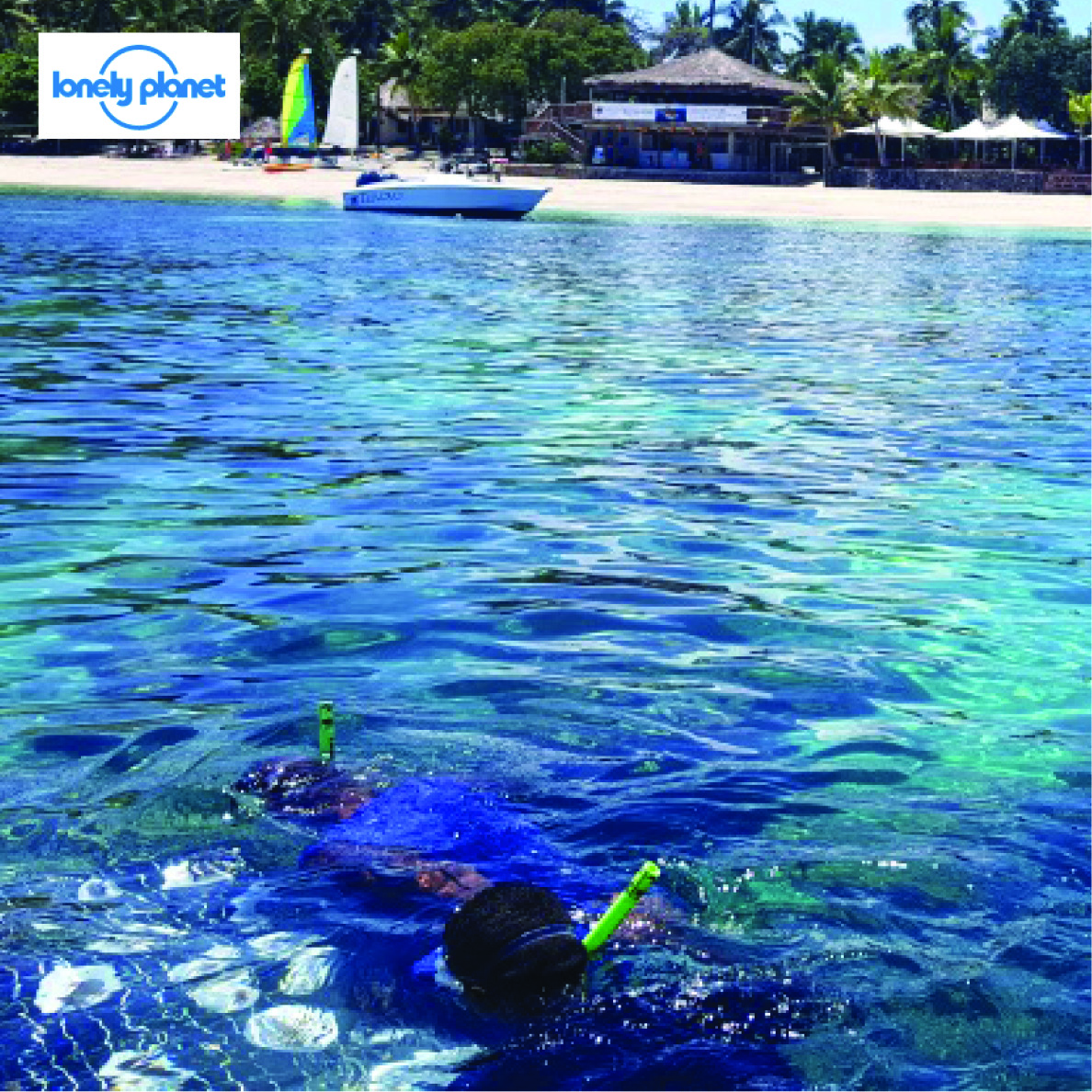 10 Incredible Sustainable Travel Experiences: Master Coral Planting in Fiji