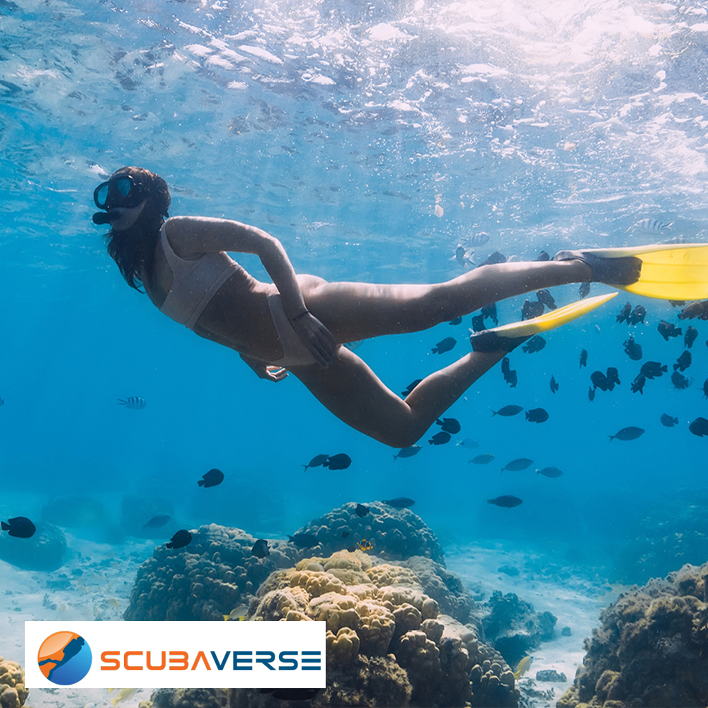 World Reef Day: Best Reef Conservation Projects and Dives From Around the World