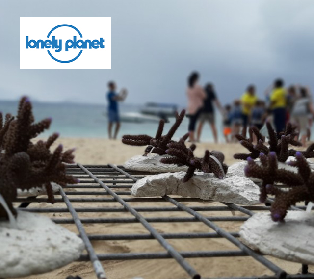 You Can be a Part of Worldwide Coral Regeneration Schemes – Here’s How