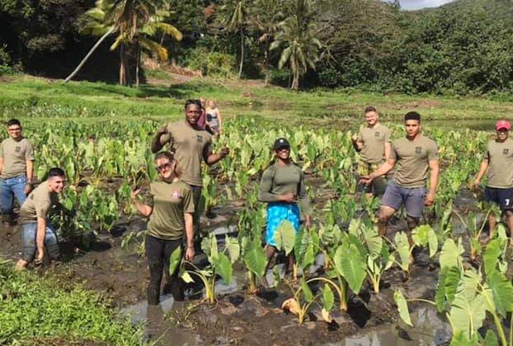 12 Hawaiian Hotels that Give Back to the Local Community