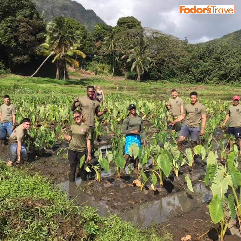 12 Hawaiian Hotels that Give Back to the Local Community