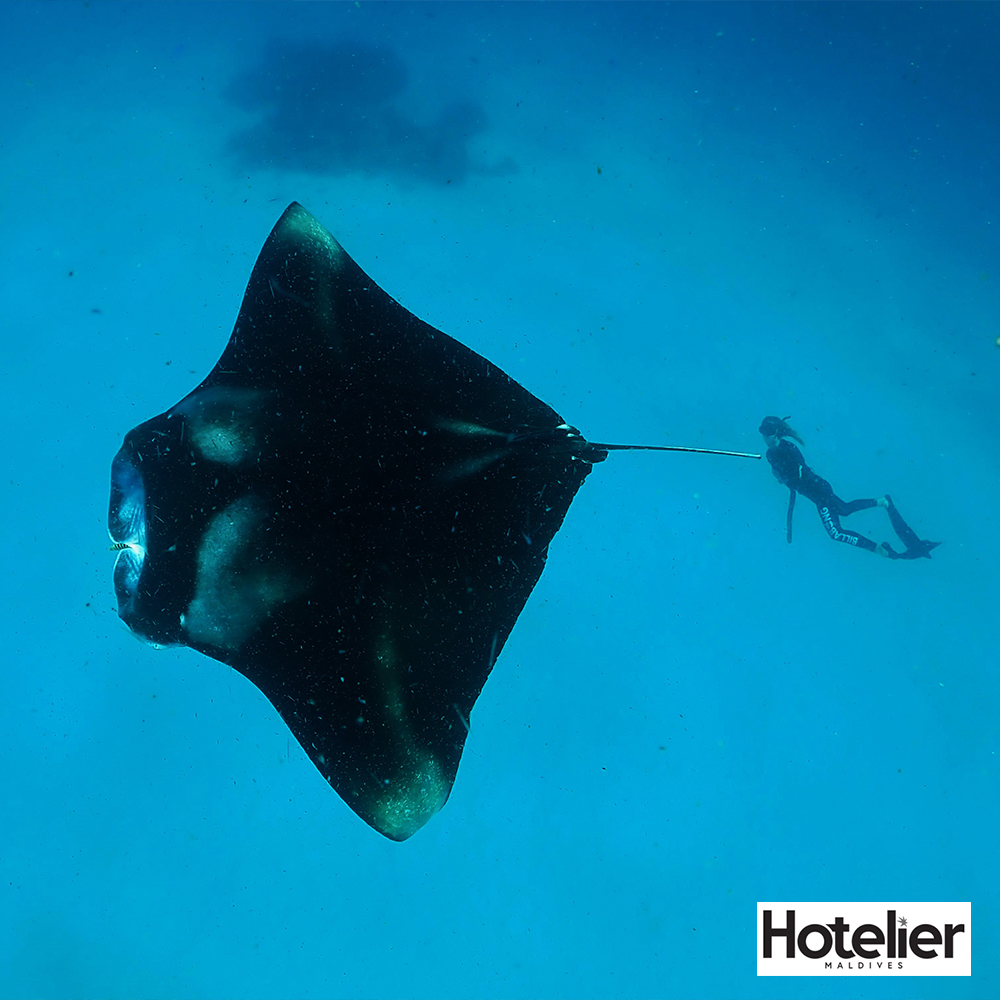 Marine Conservation at Outrigger Maldives Maafushivaru Resort