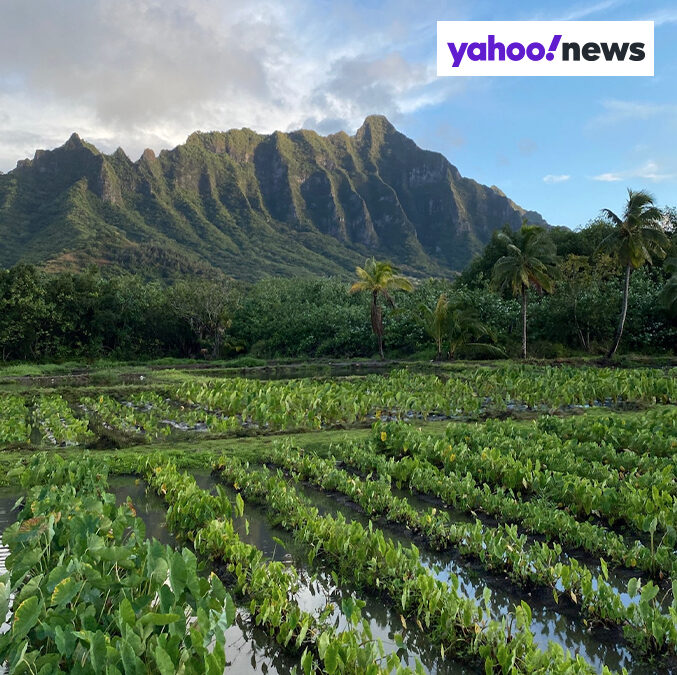 10 of the Best Hotels with Immersive Nature Experiences: Say Aloha to an Eco-Adventure at Outrigger Reef Waikiki Beach Resort