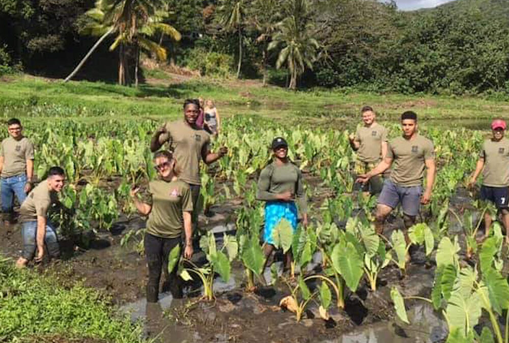 How Volunteering During Your Hawaiian Vacation Can Earn You Some Serious Perks