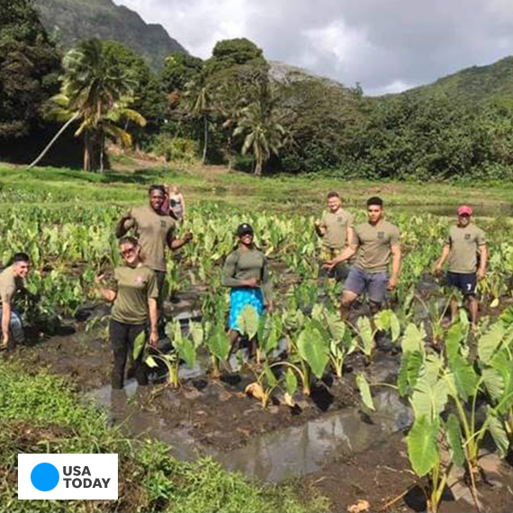 Hawaii Travel Hack: How to Save Money on Your Hotel by Adding a New Experience