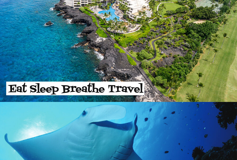 Swimming with Mantas in Kona
