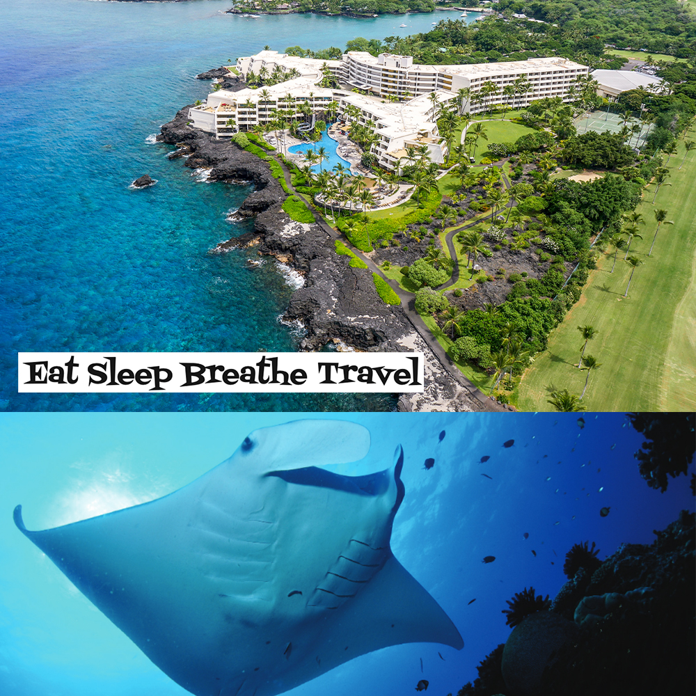 Swimming with Mantas in Kona