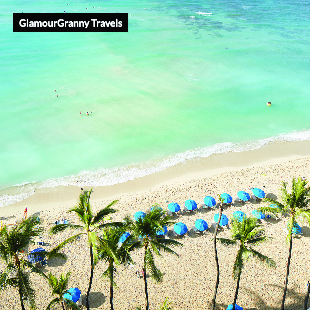 Goodbye Winter Blues, Hello Waikiki!
