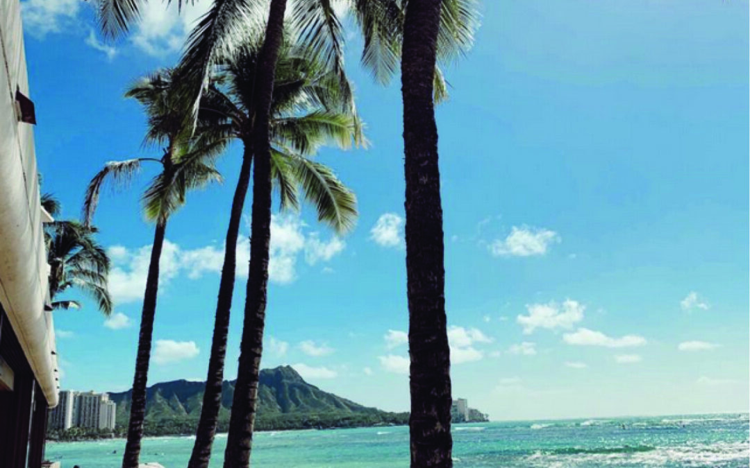 Honolulu The 411