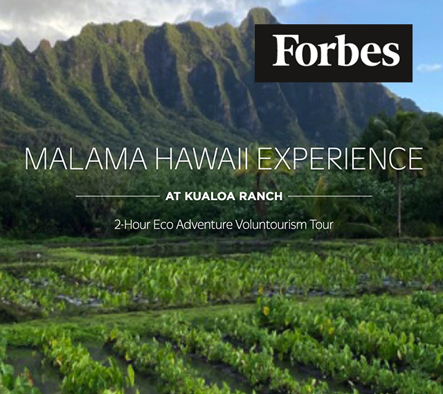 Forbes: Hawai‘i -- Hotels Will Offer You A Free Night’s Stay In Exchange For This