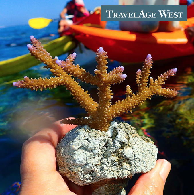 8 Resorts Where Travelers Can Plant Coral - Outrigger Fiji Beach Resort is One of Them!