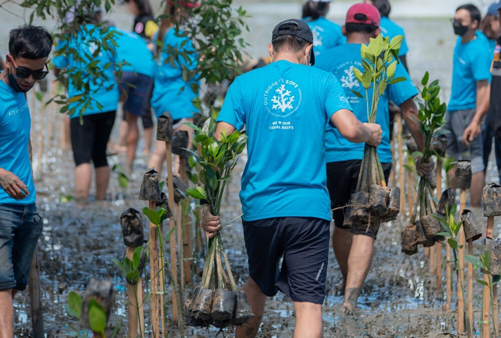 Hotel Keeps Oceans Clean and Safe Through Eco-Conscious Projects