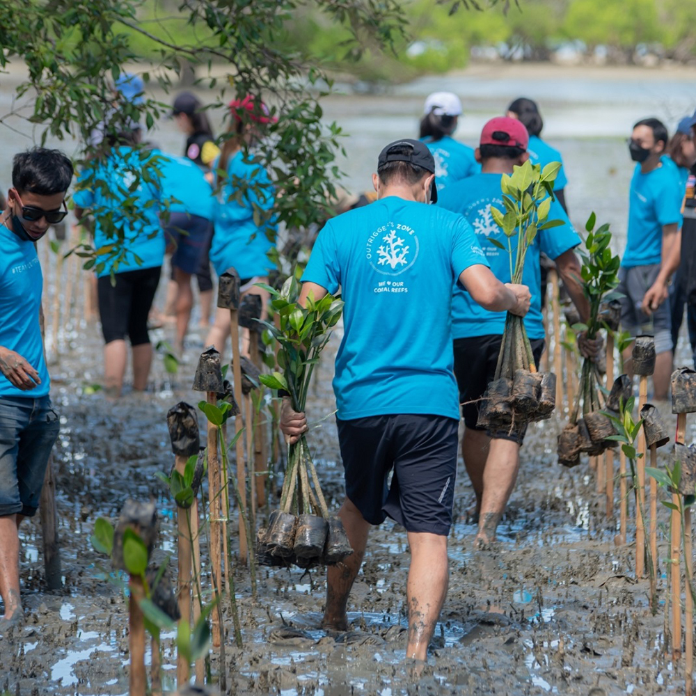 Hotel Keeps Oceans Clean and Safe Through Eco-Conscious Projects