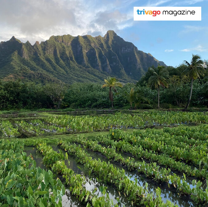 8 Hawaii Resorts Where You Can Experience Authentic Island Life