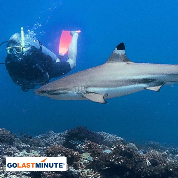 10 Unique Wildlife Encounters Around the World