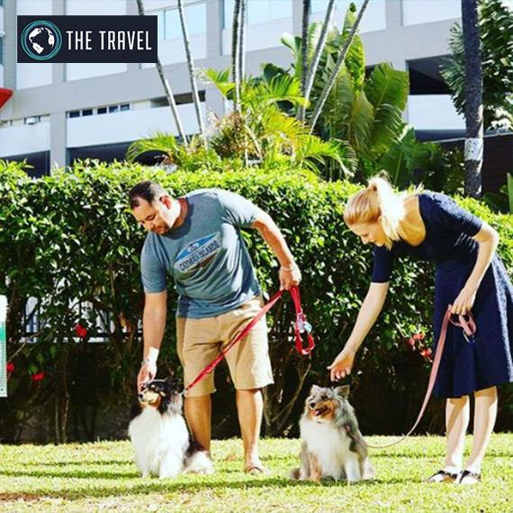 Indulge In Luxury For Less: 10 Affordable Honolulu Resorts With High Standards