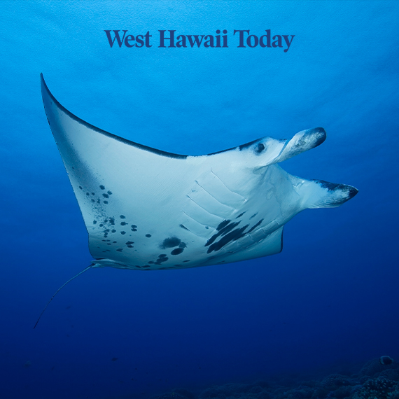 OUTRIGGER Kona Resort & Spa Celebrates 30 Years of Responsible Manta Tourism at World Manta Day Festival