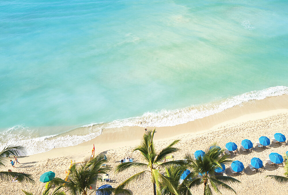 The Airlines, Hotels and Travel Companies with the Best / Worst Customer Service