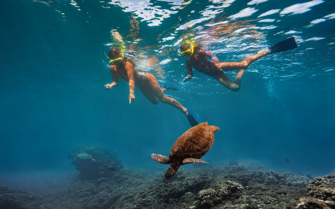 Trade Winter Blues for Ocean Hues with OUTRIGGER Kā‘anapali Beach Resort’s Signature Ocean-Adventure Package