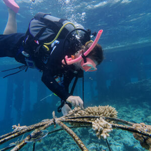 OUTRIGGER Maldives Maafushivaru Deepens Conservation Efforts with New Resident Marine Biologist